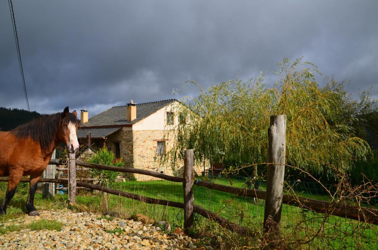 Apartamentos Rurales Tia Vicenta Santa Eulalia de Oscos Buitenkant foto